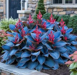 Хоста Грин Фог купить по цене от 669р. в интернет-магазине «Посадика» с доставкой почтой в в Салавате и по всей России – [изображение №1].