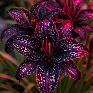 Лилейник Вояж купить по цене от 699р. в интернет-магазине «Посадика» с доставкой почтой в в Салавате и по всей России – [изображение №1].